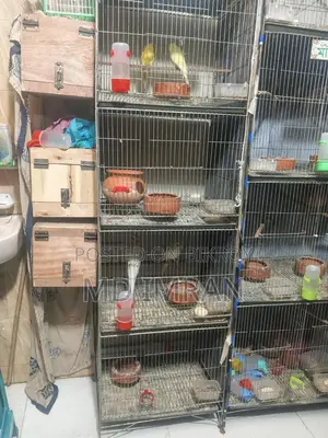 ১৬/২০পাখির খাঁচা