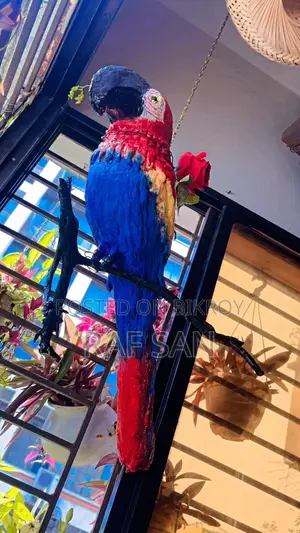 1 Cockatoo Bird