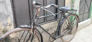 Phoenix Bicycle for sale
