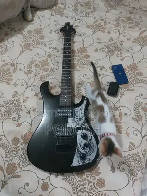 Lead Guitar for Sell