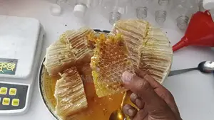 Natural Honey