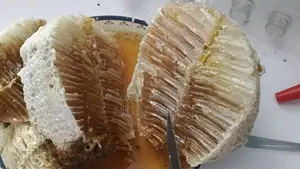 Natural Honey