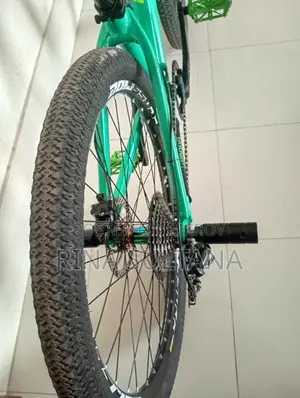 Boarse Sun 6.0