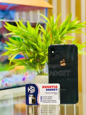 Apple iPhone XS (Used)