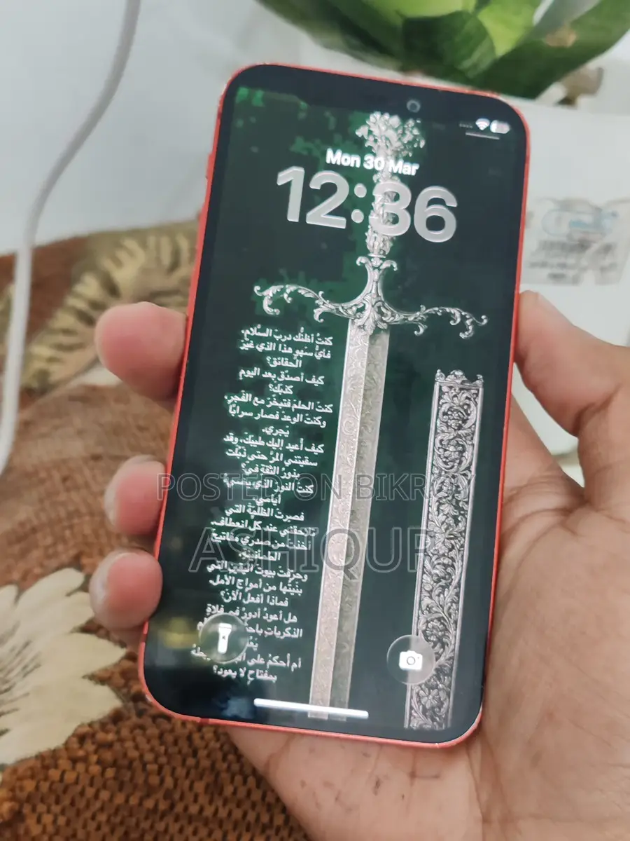 Apple iPhone 12 Mini (Used)