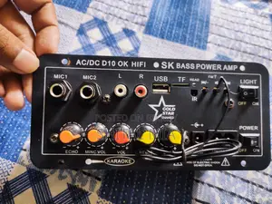 D10 Amplifier Circuit
