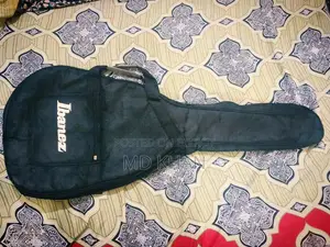 Ibanez Guitar Bags আর্জেন্ট বিএয়