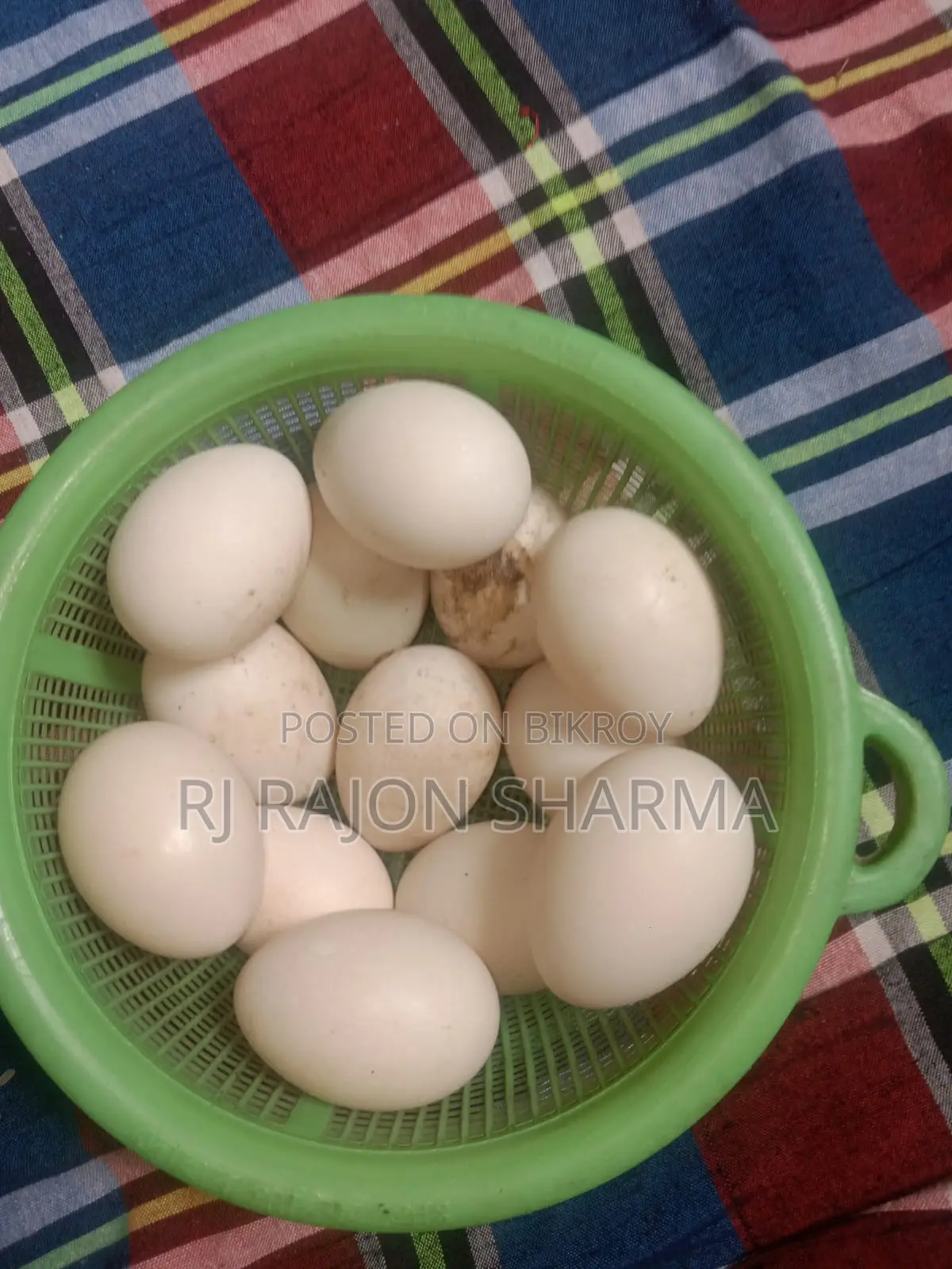 White Muscovy Duck Eggs for Sale