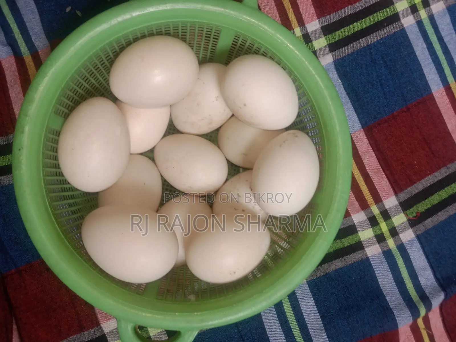 White Muscovy Duck Eggs for Sale