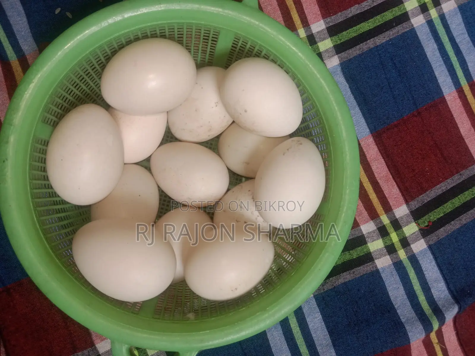 White Muscovy Duck Eggs for Sale