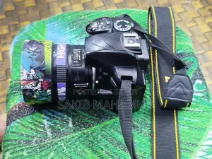 Nikon D3300