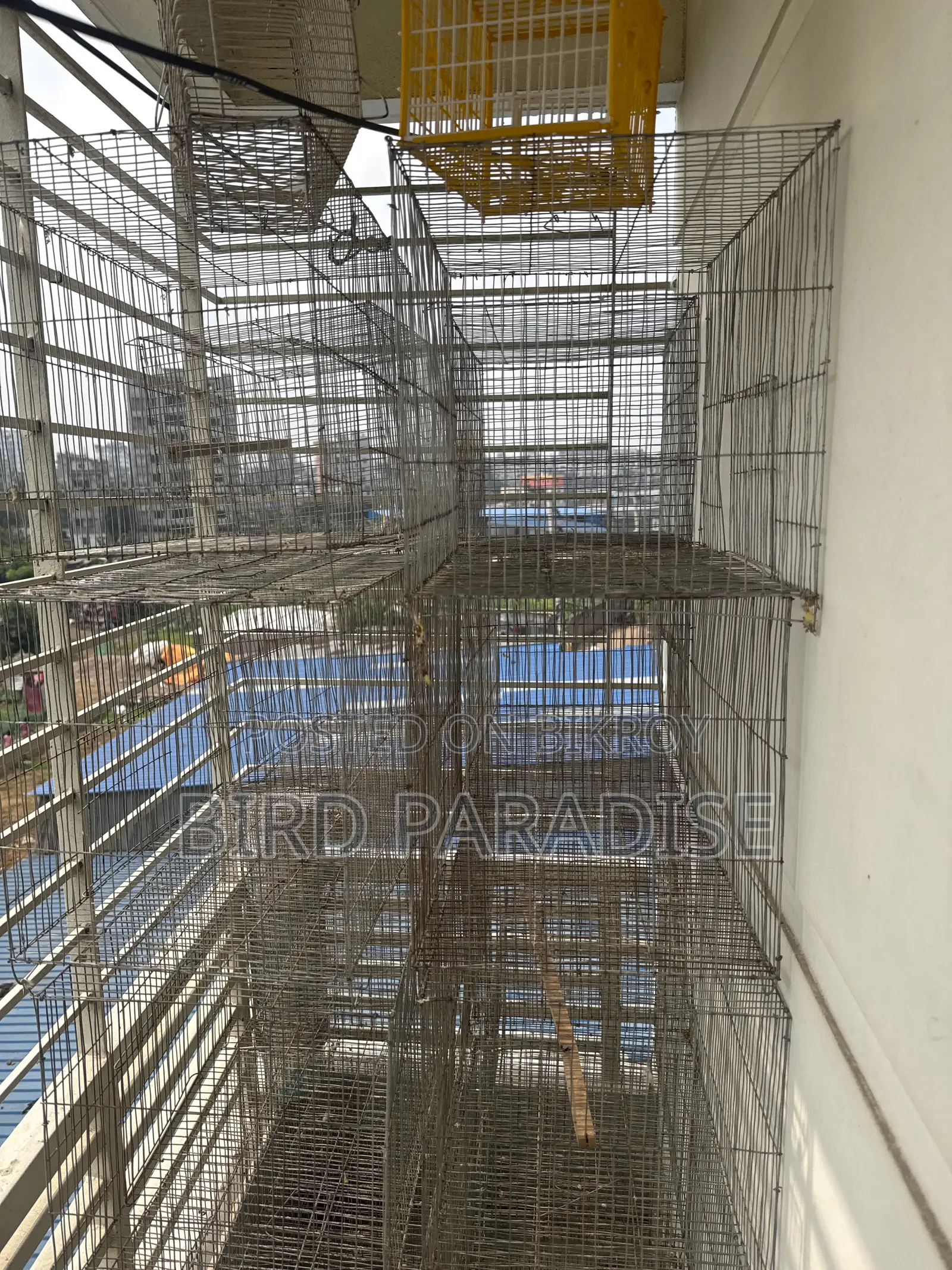 12/18 Cage With Tray