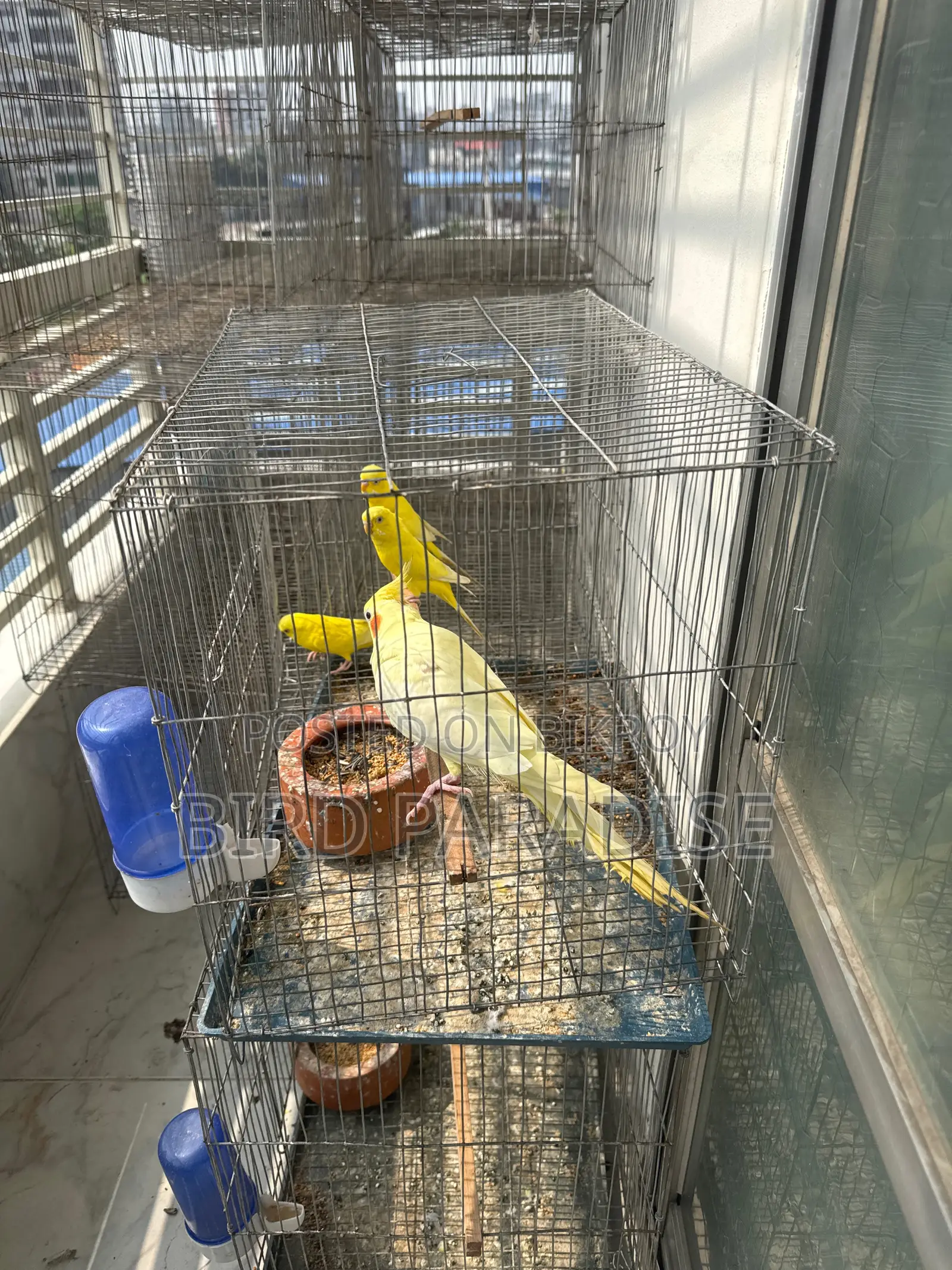 12/18 Cage With Tray