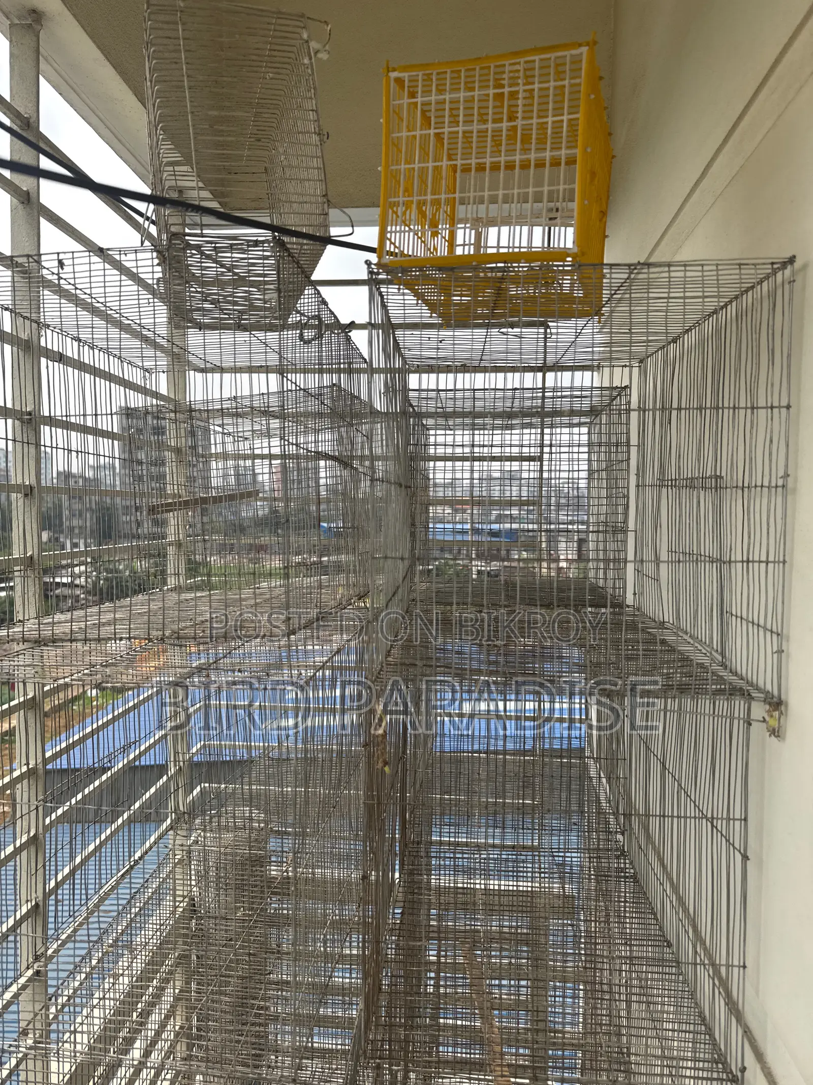 12/18 Cage With Tray
