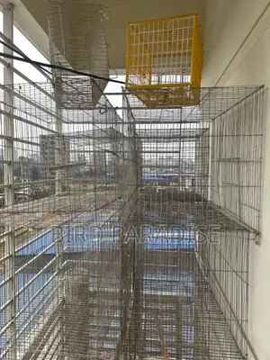 12/18 Cage With Tray