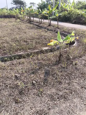 সেক্টর:৯,দক্ষিণ পূর্ব কর্নার ৫ কাঠা প্লট জরুরী বিক্রি করা হবে, পূর্বাচল।