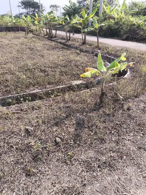 সেক্টর:৯,দক্ষিণ পূর্ব কর্নার ৫ কাঠা প্লট জরুরী বিক্রি করা হবে, পূর্বাচল।