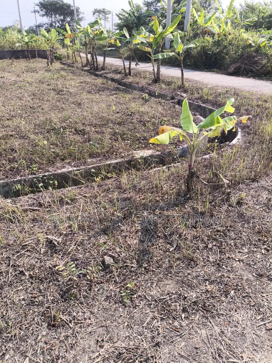 সেক্টর:৯,দক্ষিণ পূর্ব কর্নার ৫ কাঠা প্লট জরুরী বিক্রি করা হবে, পূর্বাচল।