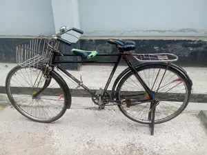 Running Bicycle