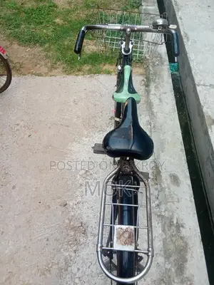 Running Bicycle