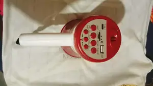 Hand Mic