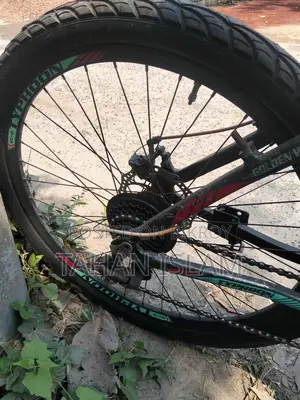 Gear Cycle