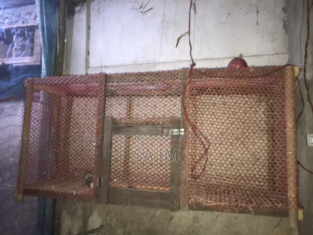 Khacha sale