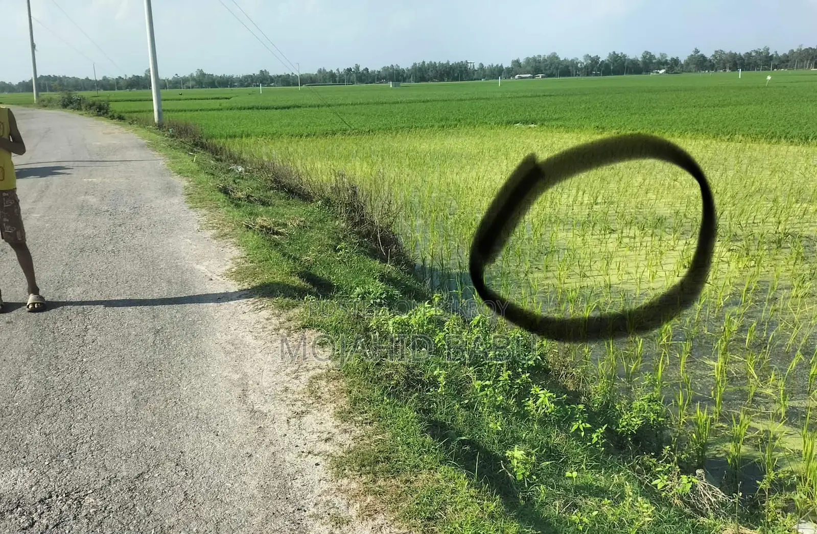 Land for Sale at Sheikhpara Road, Darshana Palli Bidyut