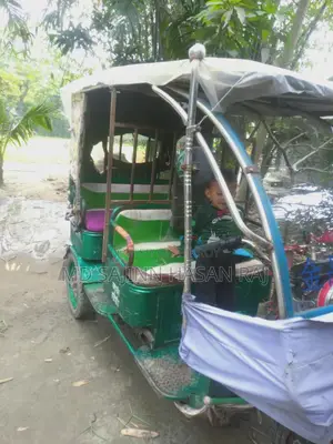Electric Auto Vehicle