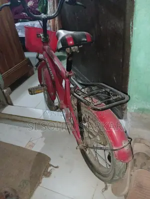 দুরন্ত সাইকেল