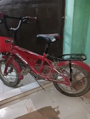 দুরন্ত সাইকেল