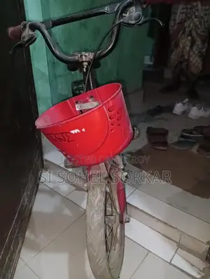 দুরন্ত সাইকেল