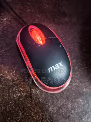 Logitech and Max Mouse