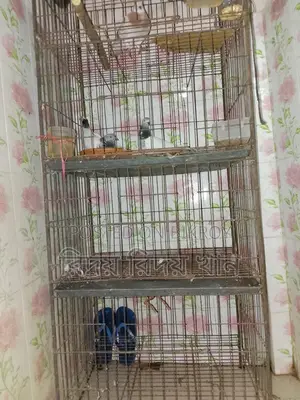 চার তলা খাচা বিক্রি হবে লোহার