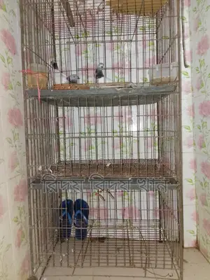 চার তলা খাচা বিক্রি হবে লোহার