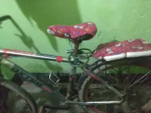 ভালো একটু জেম আছে গিয়ার ঠিক করতে হবে, এমনে চলে রানিং