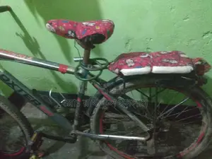 ভালো একটু জেম আছে গিয়ার ঠিক করতে হবে, এমনে চলে রানিং