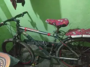 ভালো একটু জেম আছে গিয়ার ঠিক করতে হবে, এমনে চলে রানিং
