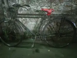 Phoenix Bicycle for sale
