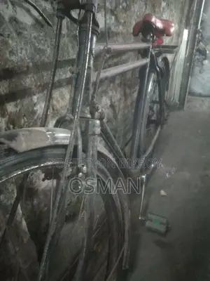 Phoenix Bicycle for sale