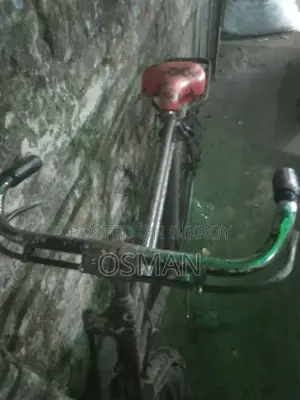 Phoenix Bicycle for sale
