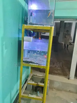 Aquarium Setup For Sale