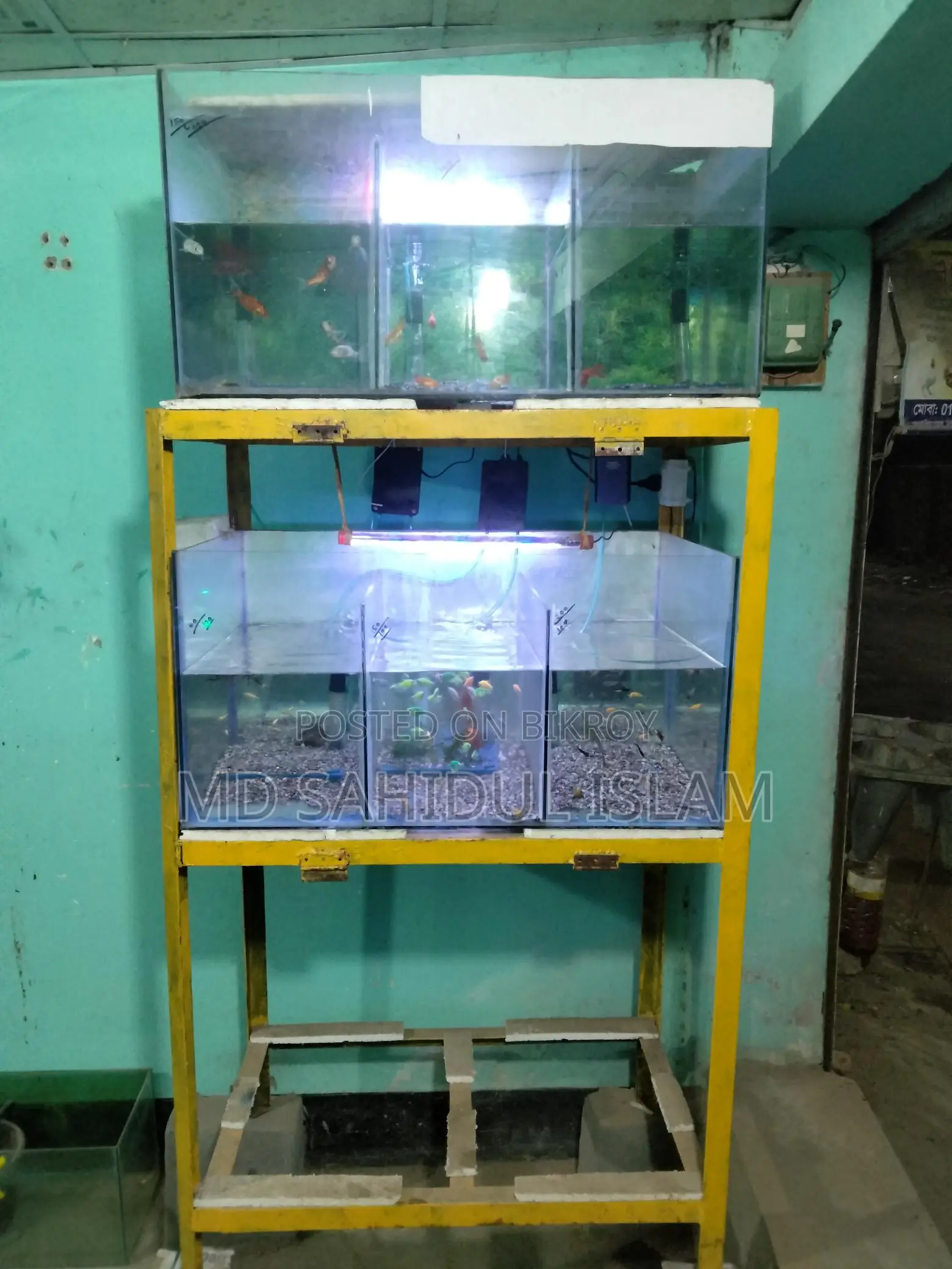 Aquarium Setup For Sale