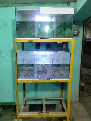 Aquarium Setup For Sale