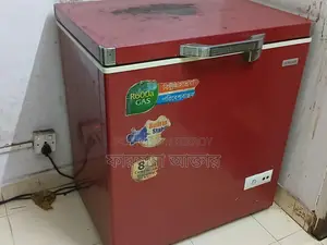 Singer Fridge