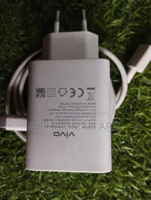 Vivo Original Charger