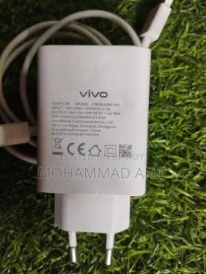 Vivo Original Charger