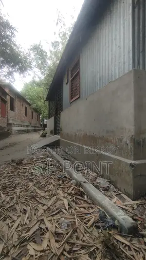 সিরাজগঞ্জ শহরে সাড়ে পাচ লাখ টাকা শতকে জমি শহ বাড়ি