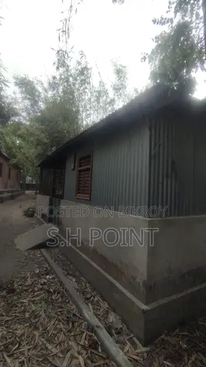 Land with House in Sirajganj City at 5.5 Lakh per Decimal