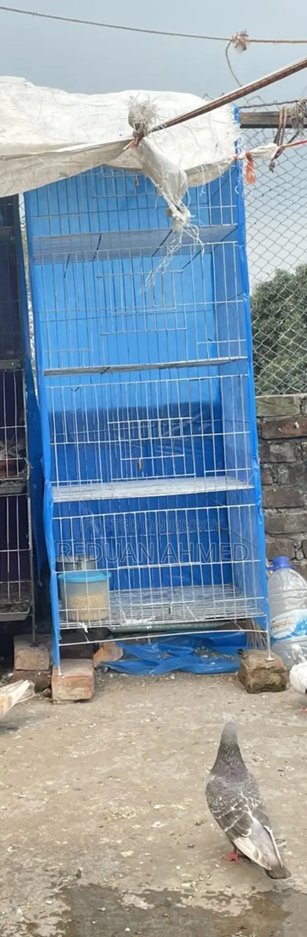 কবুতরের খাঁচা